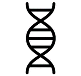 Afbeelding bij Symposium Genetica etc-039cc8a9-993f-4eb5-8ada-cfa69c092da6.png