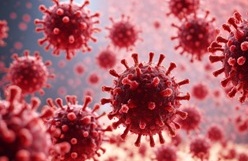 shutterstock_2395428277 corona virus coronavirus bewerkt-14412cf8-d386-421f-bcf1-eecd7b53920f.jpg