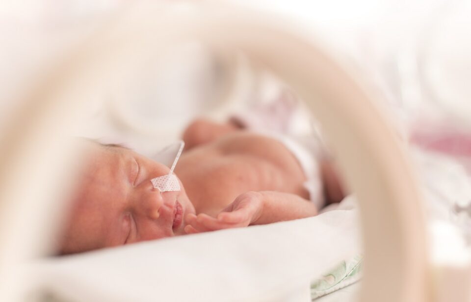 shutterstock_396467257 aangepast-125d0a6e-19d0-491e-aa4d-4692bf62fc4e.jpg